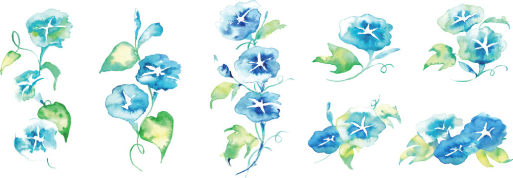 水彩画。水彩タッチの夏の朝顔イラスト。水彩の夏ベクターイラスト。朝顔の和柄。Watercolor painting. Watercolor-style illustration of summer morning glories. Watercolor summer vector illustration. Japanese-style morning glory pattern.
