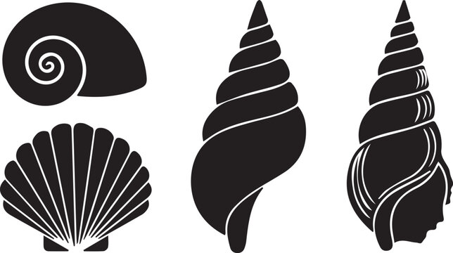 Black and white seashell silhouettes