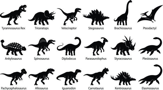 Dinosaur Silhouette Collection Featuring Tyrannosaurus Rex Triceratops Velociraptor Stegosaurus and Prehistoric Jurassic Creature Vector Set