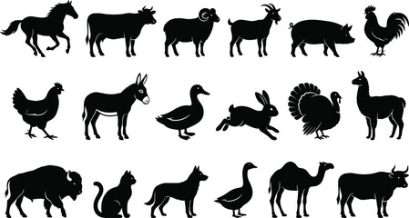 Fototapeta premium Farm Animal Silhouette Collection Featuring Horse Cow Goat Sheep Pig Poultry Camel and Domestic Livestock Vector Set