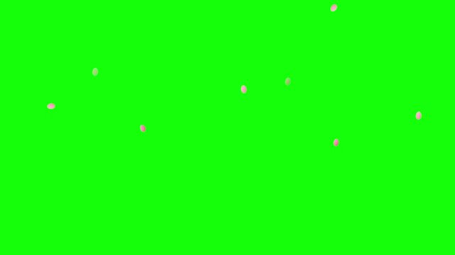 cascading pink rose petals green screen overlay loop