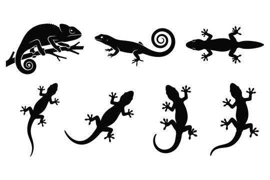 Lizard and chameleon silhouette vector set isolated on white background Black reptile shapes and gecko icons collection