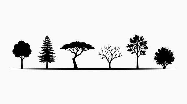 A selection of diverse deciduous and coniferous trees, symbolizing nature and the changing seasons