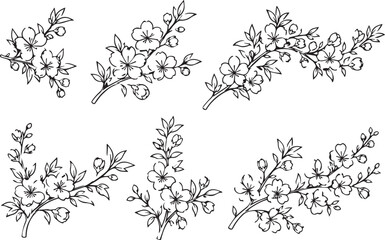 Elegant Set of Hand-Drawn Cherry Blossom Branch Vector Illustrations, Black and White Sakura Flower Line Art for Wedding Invitations, Tattoos, Greeting Cards, and Minimalist Home Decor. © Sadek