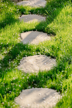 Pathway through lush green grass in sunny garden, landscaping backyard concept.