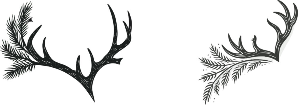 A whimsical deer antler illustration with pine branches and a corner vignette in a vector sticker style, showcasing clean sharp contours against a pure white background