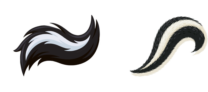 A skunks tail plume from cardboard features a large sweeping curve with a white stripe, black and white cardboard, isolated on white, famous odorous cartoon animal detail, vector ready l5z7pw1 8.1