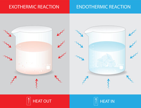 Exothermic and Endothermic Reaction Comparison with Heat Flow in Chemical Beakers.