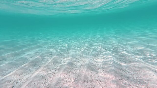 水中撮影：与論島の透き通るヨロンブルーの海と白砂の海底に揺らめく美しい光の網目