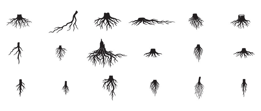Tree roots isolated collection. Vector set of taproot and fibrous root systems of various plants. Abstract branches, trees life system neoteric.