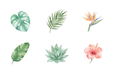 Obraz premium Watercolor tropical plant minimal icons set
