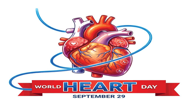 Heart anatomy illustration promotes global cardiovascular health awareness on World Heart Day.