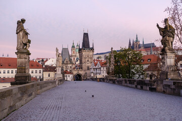 Obraz premium Stroll along the historic Charles Bridge in Prague as the soft light of dawn illuminates the city.