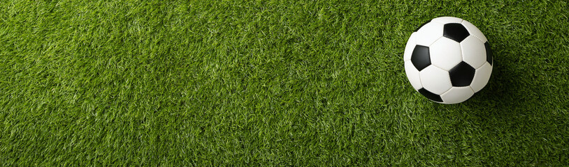 Fototapeta premium Soccer ball on Grass Field