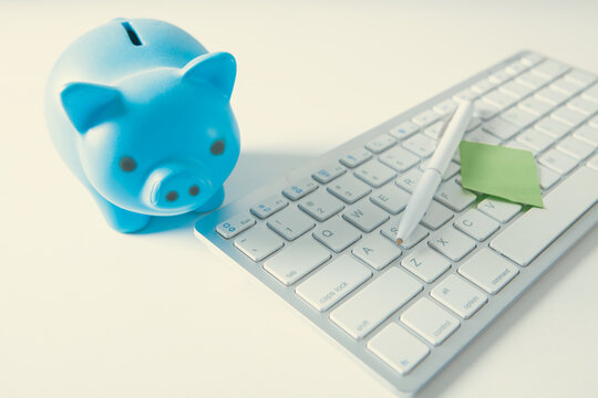 Piggy bank and computer keyboard on white background, vintage tone