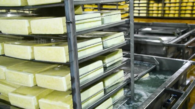 The washing process during cheese production at a cheese factory.