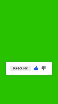 Subscribe and Reminder Button Animation. Animated subscribe button for youtube on Green Background. Full HD. 4K