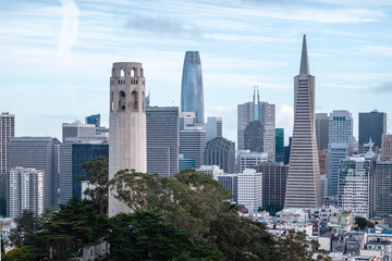 Obraz premium Aerial view of the skyline of Coitta, San Francisco, California.