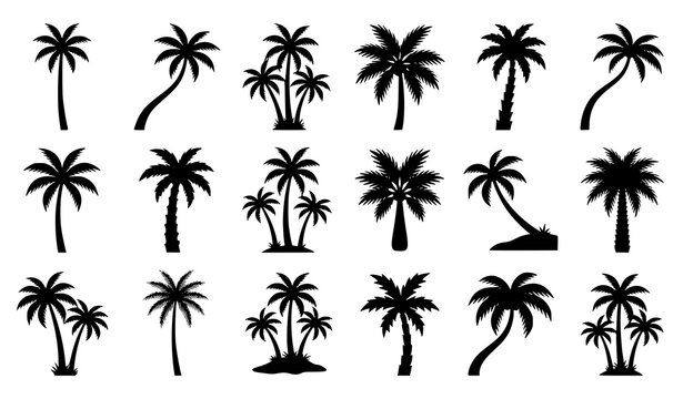 Tropical Palm Tree Silhouette Icon Collection Vector Illustration