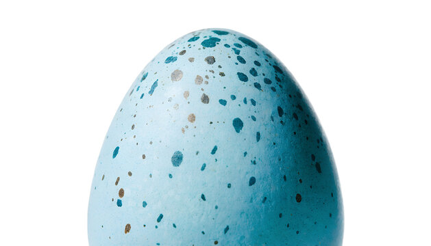 Speckled Light Blue Robin Egg &ndash; Pastel Easter Bird Egg PNG Cutout