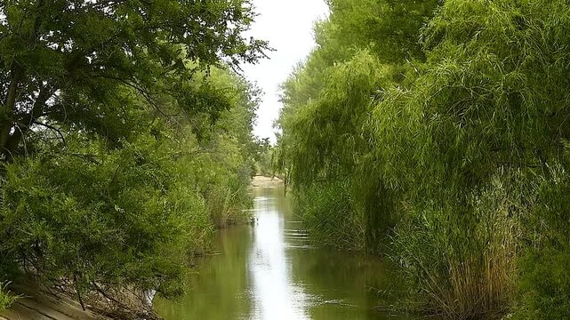 The canal is used for irrigation and water supply to agricultural fields.