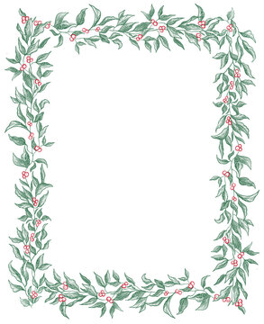 christmas holly frame Vintage Botanical Border Frame Line Art Illustration