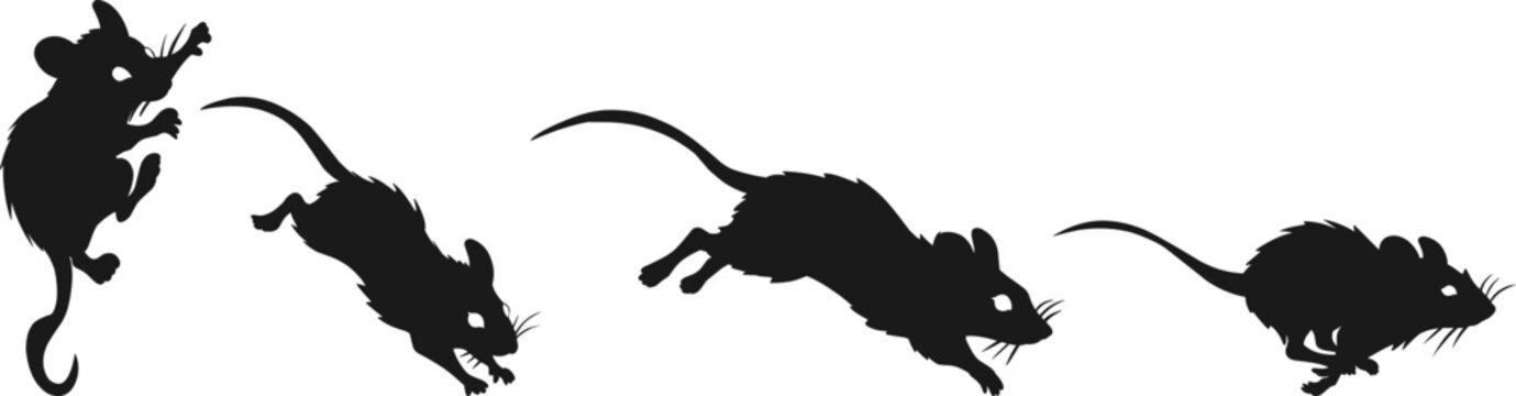 a rat squeezing or sneaking through tight spaces, a vigilant mouse on high alert, a rodent stalking or creeping stealthily, and a fast-paced mouse running away or escaping quickly