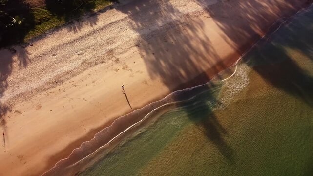 Runner is enjoying early morning serenity. Jogging near tranquil sea with sunlight casting shadows. Solitary athlete strides along peaceful beach at dawn under shaded palm trees. Active lifestyle