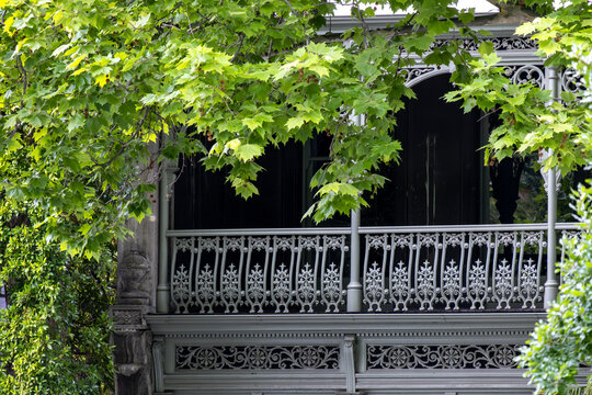 Ornate cast iron lacework balcony on historic Victorian terrace house surrounded by green foliage, Melbourne Australia in a leafy inner suburb neighborhood. Intricate wrought iron filigree