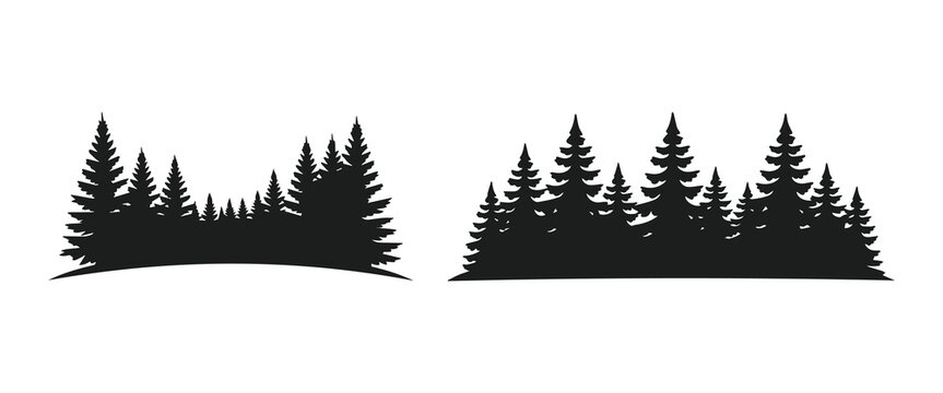 Minimalist black two pine forest landscape with coniferous trees horizon for outdoor adventure silhouette vector icon
