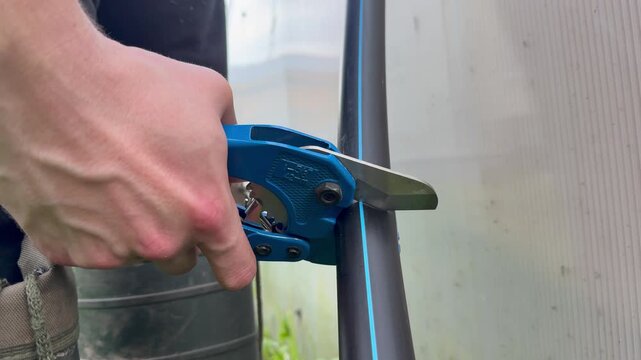 Close-up of a man's hands using a professional blue ratchet pipe cutter to cut a black HDPE pipe with a blue stripe. Plumbing installation or irrigation system setup outdoors near a greenhouse. 
