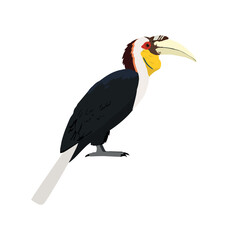 Adult male wreathed hornbill in side view flat icon © Martin