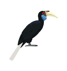 Adult Female wreathed hornbill in side view flat icon © Martin