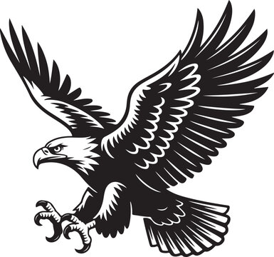 Bald eagle soaring with spread wings