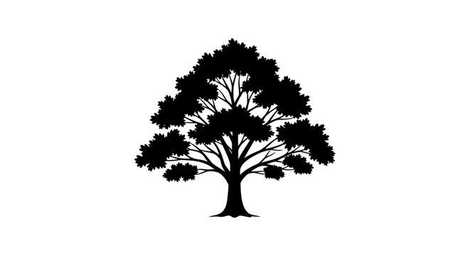 Tree Silhouette Black Icon Graphic.