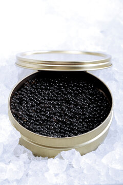 Beluga caviar in can