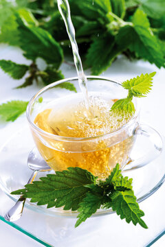 Stinging nettle tea