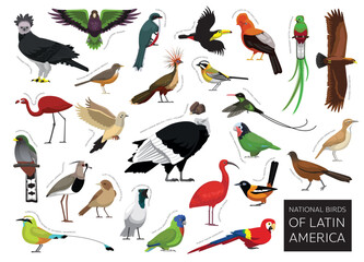 Obraz premium Latin America National Birds Set Cartoon Vector Character