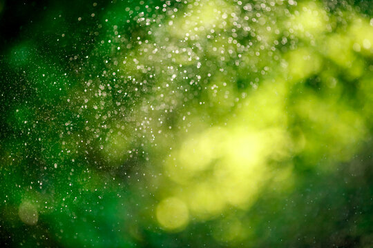 Water drops of lawn sprinkler