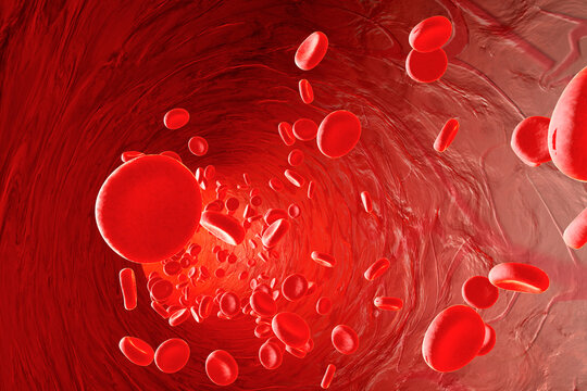Erythrocyte cells flowing in an artery, 3D Rendering