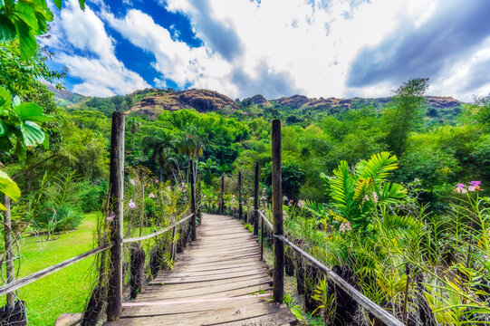 Fiji Islands, Lautoka, Garden of the Sleeping Giant, empty way
