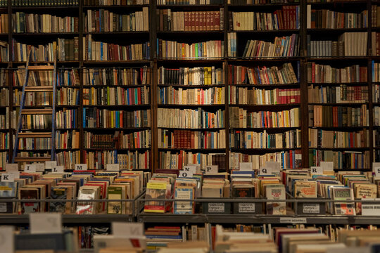 Library with variety of books