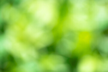 bokeh of green grass as background. blurred landscape, template for design © dmitr1ch