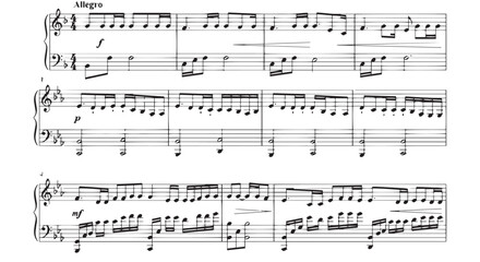 Musical Sheet Music Allegro Score Example Illustration © creations sanddollar