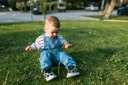 Cute toddler sitting on green grass and exploring nature outdoors