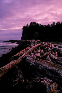 Driftwood logs washed up on a beach at dusk