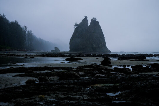 Dramatic sea stack on a foggy Pacific Northwest coast
