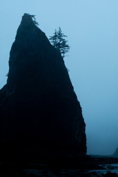 Towering sea stack silhouette on a foggy coast