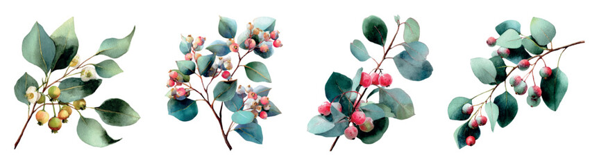 Hand painted watercolor eucalyptus leaves and branches with red and green berries, botanical elements creating a decorative border or design for a wedding invitation © Mari
