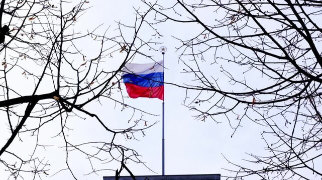 Russian flag blowing in the wind onto of a building as seen through the branches of a tree
